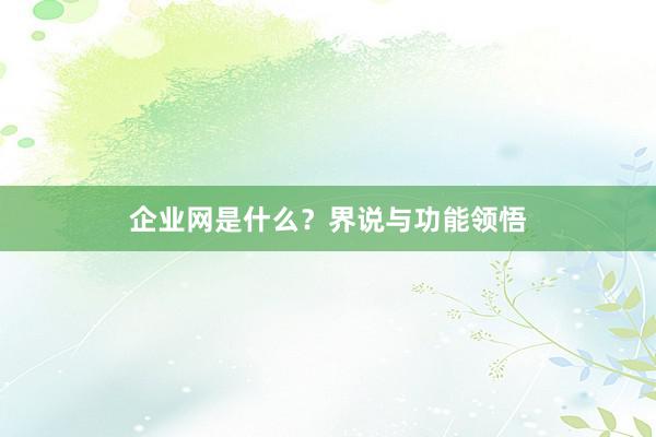 企业网是什么？界说与功能领悟
