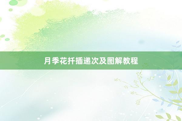 月季花扦插递次及图解教程