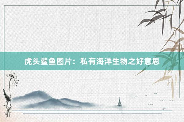 虎头鲨鱼图片：私有海洋生物之好意思