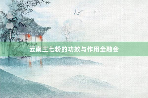云南三七粉的功效与作用全融会